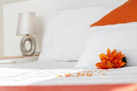 sea side accommodation guest lodge bluewater bay king 006 sea side accommodation guest lodge bluewater bay king 006